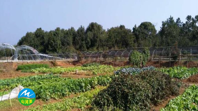 生态养殖零污染-----花园式养殖