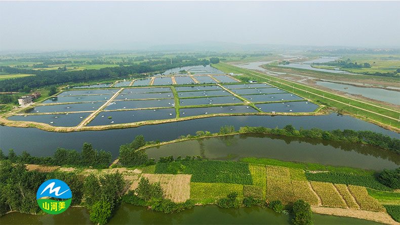微生物净水剂:成为水产健康和高效养殖的一个重要保障