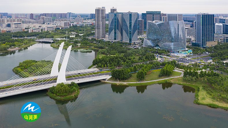 武汉市港渠水体生物治理方案